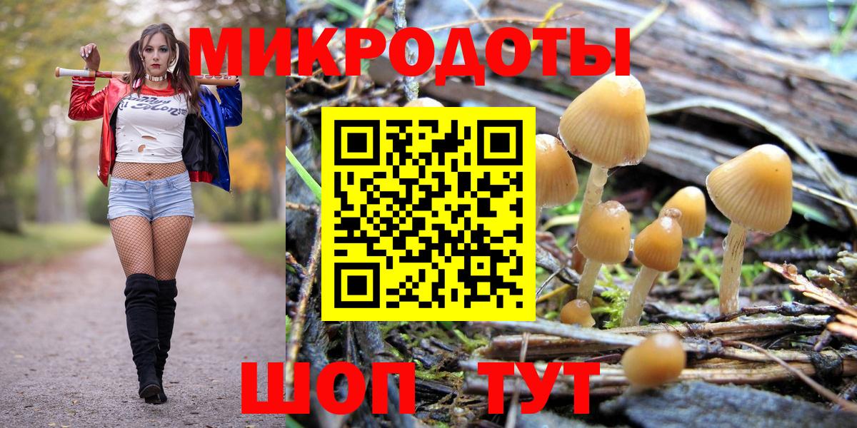 Алексин  Галлюциногенные грибы ЛСД  Вход с VPN 
